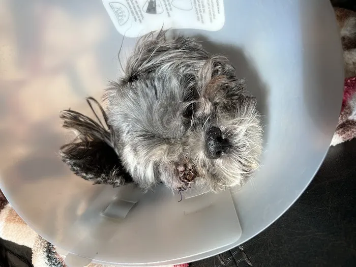 Montana Animal Clinic Picture 9