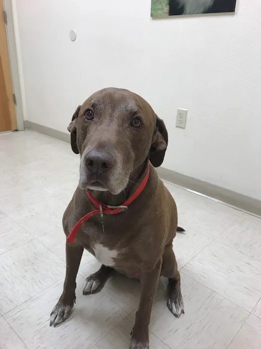 Montana Animal Clinic Picture 6