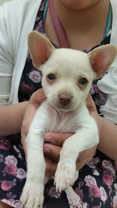 Montana Animal Clinic Picture 5