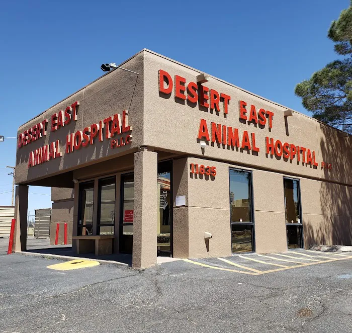 Desert East Animal Hospital Picture 3