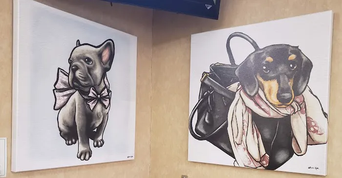 Desert East Animal Hospital Picture 6
