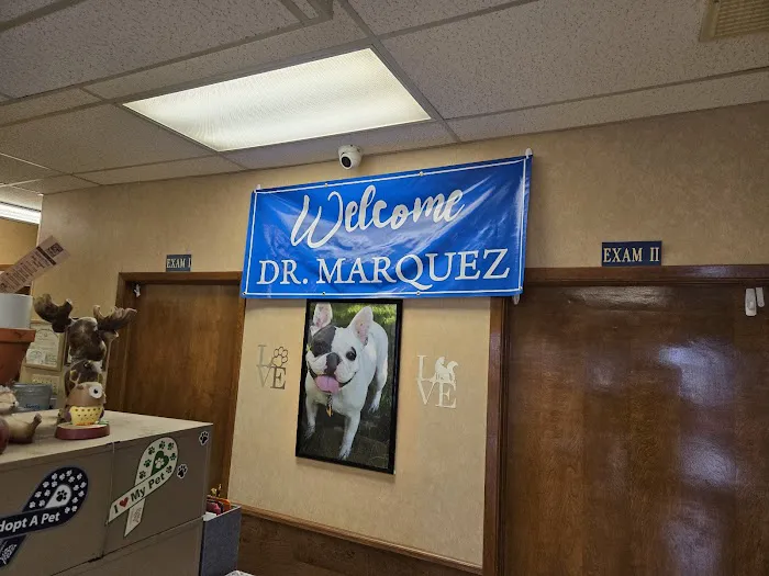 Desert East Animal Hospital Picture 2
