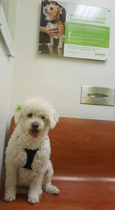 Banfield Pet Hospital Picture 4