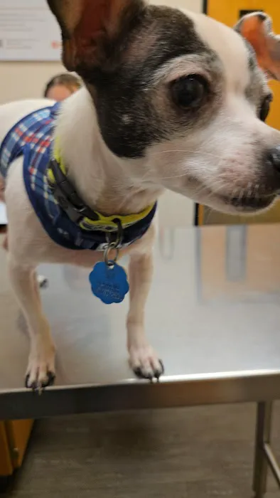Banfield Pet Hospital Picture 1