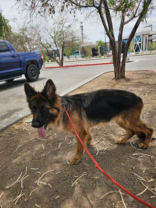 Far East Animal Care Center Picture 1