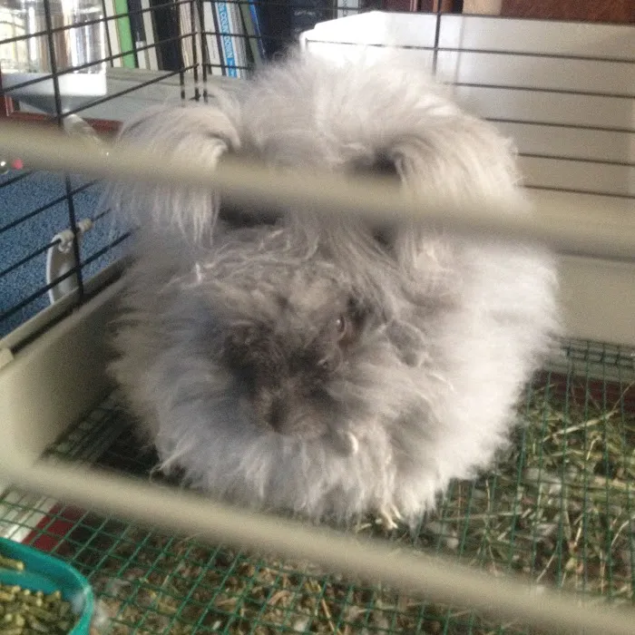 Allpet Veterinary Clinic Picture 1