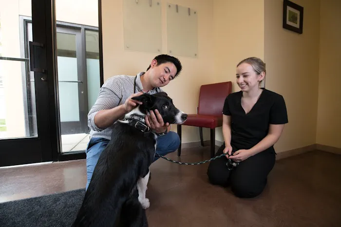 Animal Surgical & Orthopedic Center Picture 3