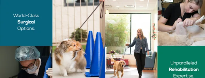 Animal Surgical & Orthopedic Center Picture 7