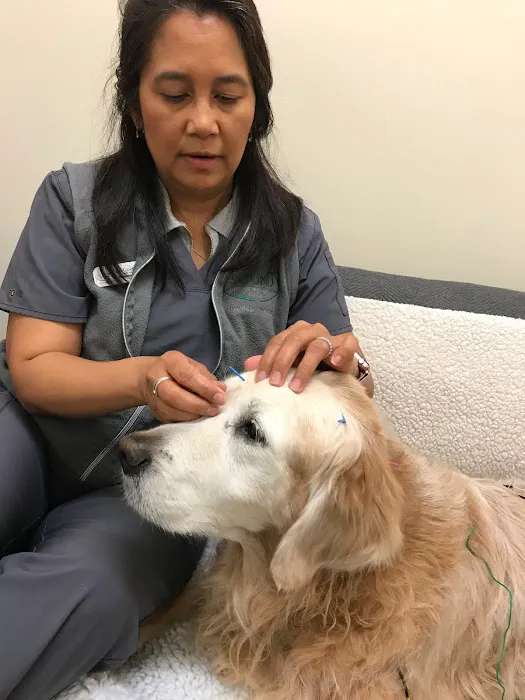 Sound Veterinary Rehabilitation Center Picture 9