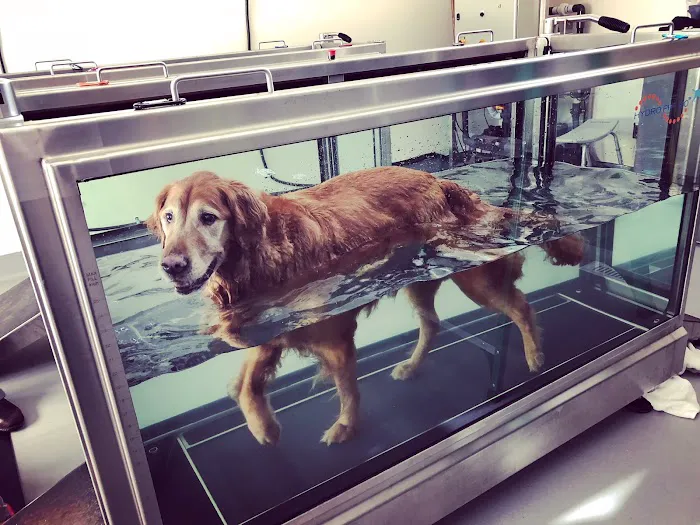 Sound Veterinary Rehabilitation Center Picture 1