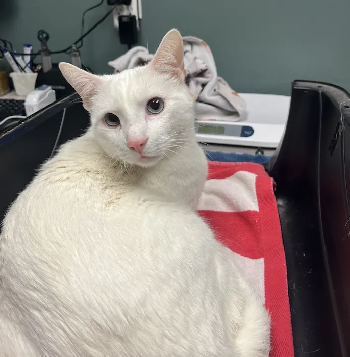 Cascade Pet Hospital Picture 10