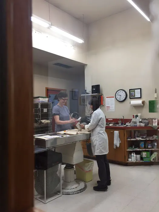 Lake Forest Park Animal Hospital Picture 7