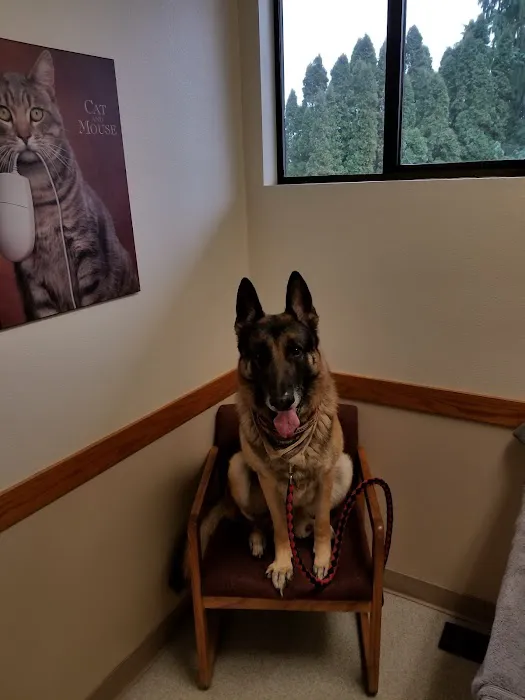 Lake Forest Park Animal Hospital Picture 4