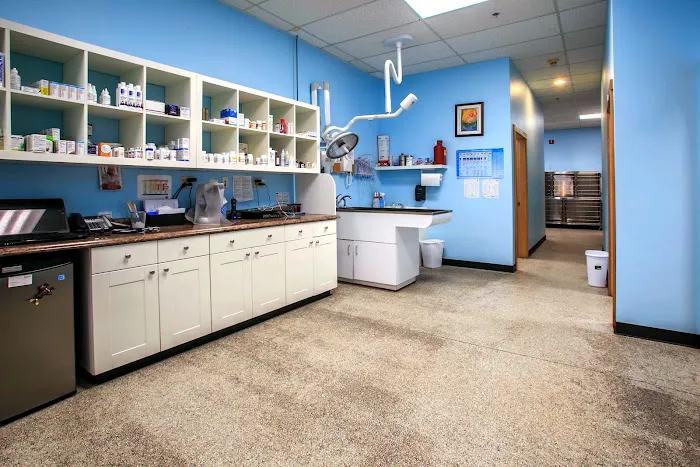 Finn Hill Animal Hospital Kirkland WA Picture 7