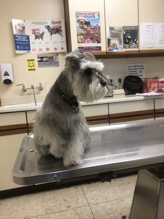 Thomas Veterinary Hospital Picture 7