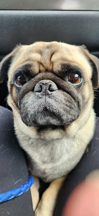 Thomas Veterinary Hospital Picture 6