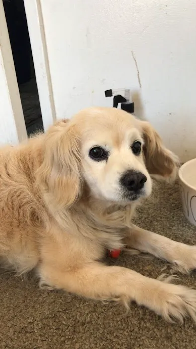 Banfield Pet Hospital Picture 2