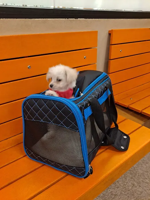 Banfield Pet Hospital Picture 4