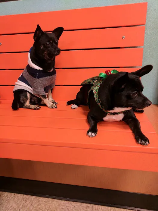 Banfield Pet Hospital Picture 7