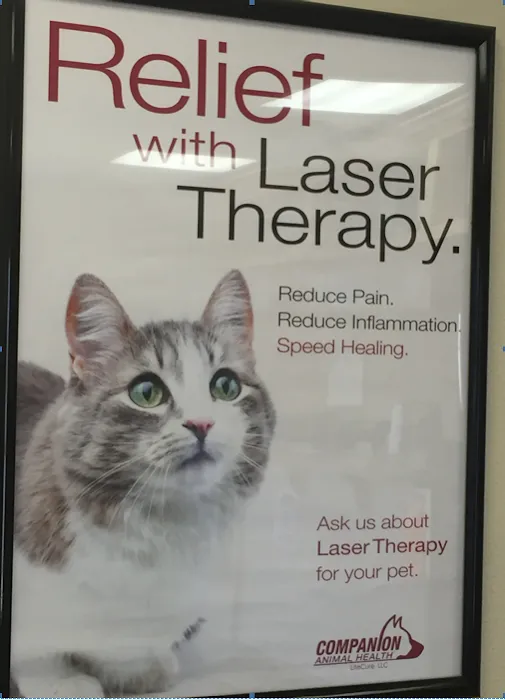 Ashton Animal Hospital Picture 8