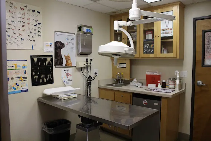 Ashton Animal Hospital Picture 2