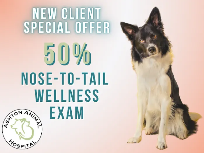 Ashton Animal Hospital Picture 9