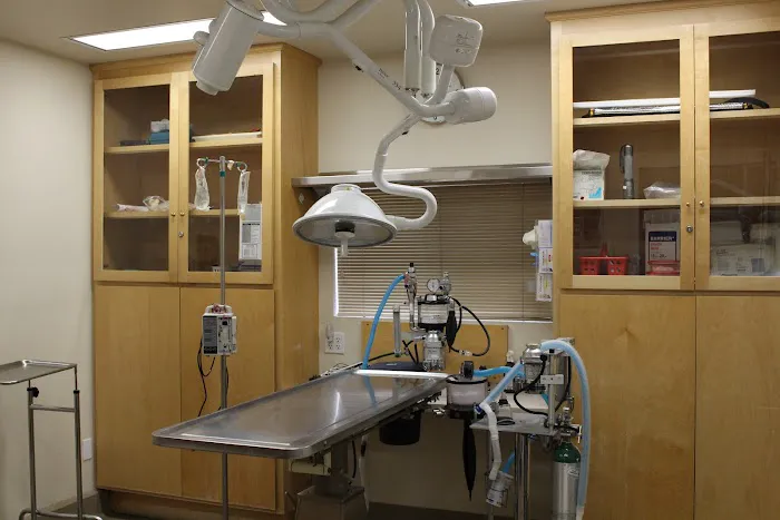 Ashton Animal Hospital Picture 1