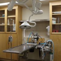 Ashton Animal Hospital ico