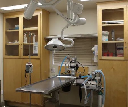 Ashton Animal Hospital