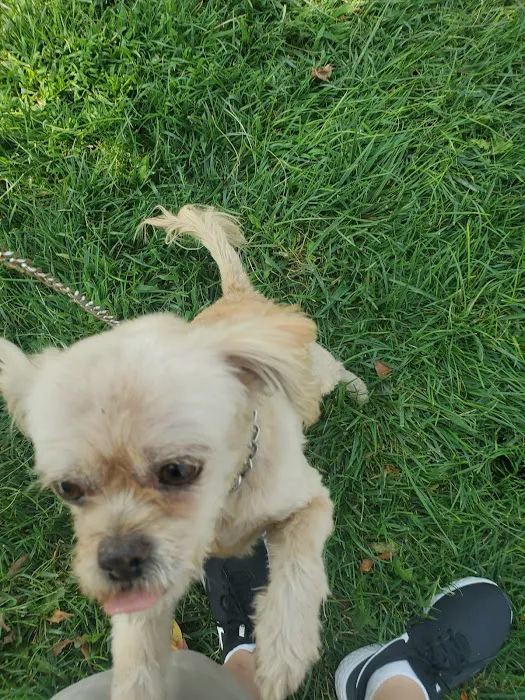 Above & Beyond Pet Care Clinic Picture 6