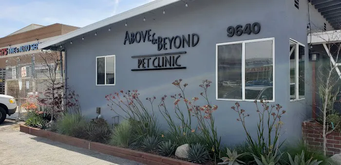 Above & Beyond Pet Care Clinic Picture 3