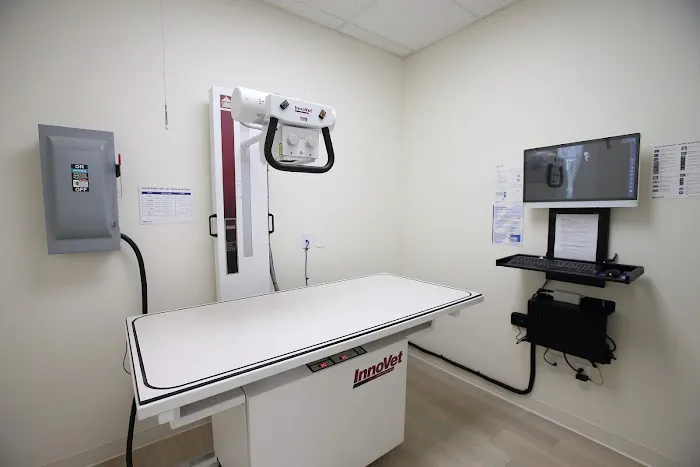 Grace Animal Hospital | Downey Picture 3