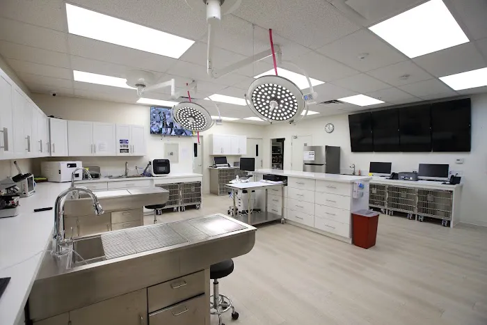 Grace Animal Hospital | Downey Picture 2