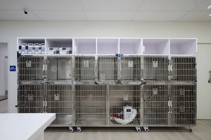 Grace Animal Hospital | Downey Picture 6