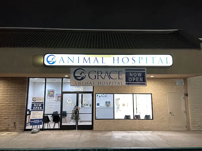 Grace Animal Hospital | Downey Picture 7