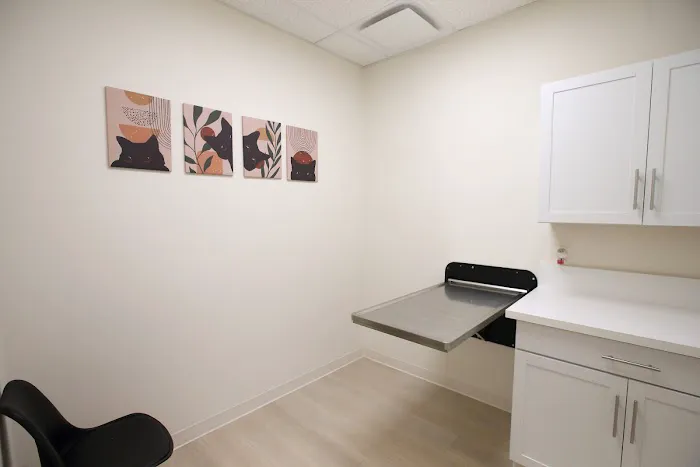 Grace Animal Hospital | Downey Picture 5