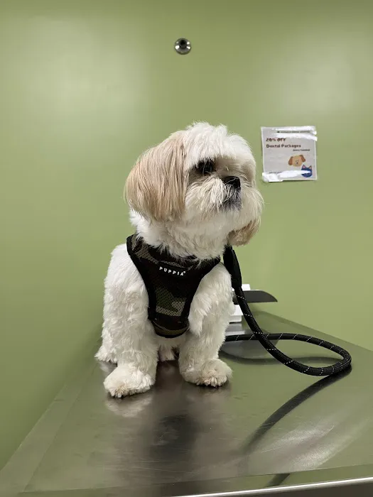 Norwalk Animal Hospital Picture 1