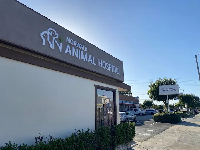 Norwalk Animal Hospital Picture 8