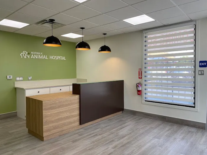 Norwalk Animal Hospital Picture 10