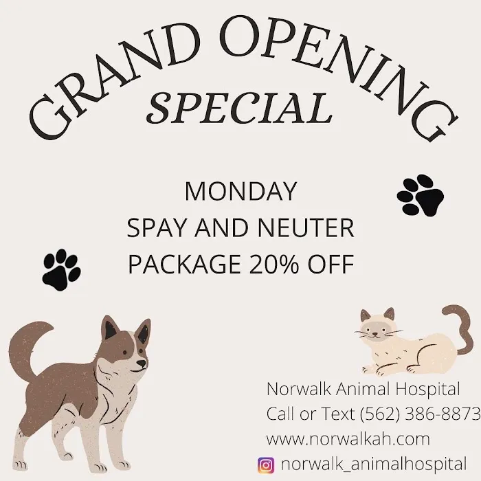 Norwalk Animal Hospital Picture 5