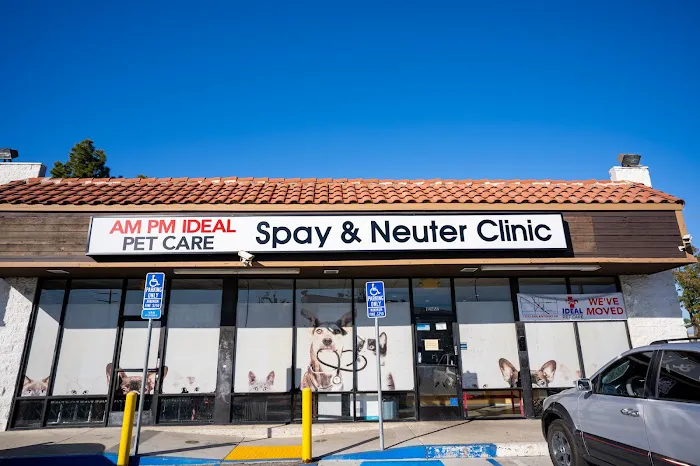 AM PM Spay & Neuter Clinic Picture 2
