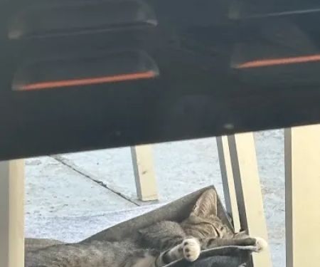 AM PM Spay & Neuter Clinic