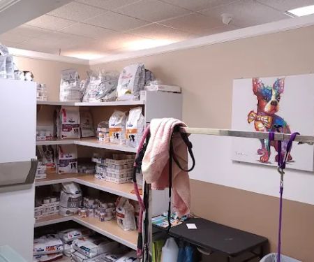Animal Hospital Santa Fe