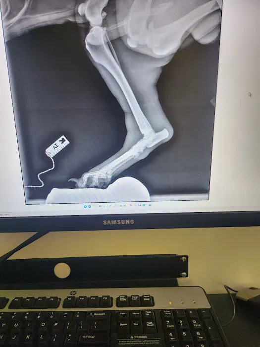 Animal Hospital Santa Fe Picture 3