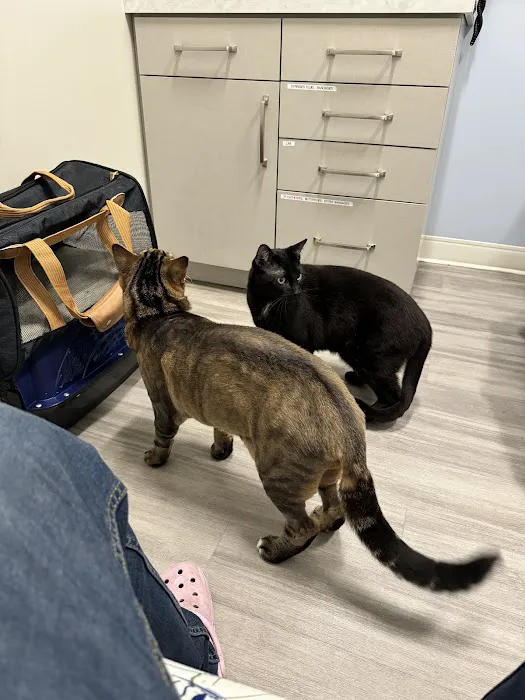 Aspire Veterinary Center Picture 2