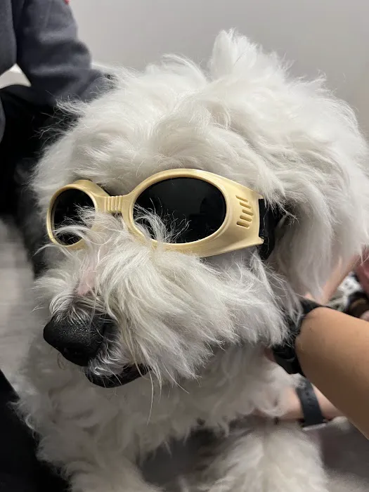 Aspire Veterinary Center Picture 4