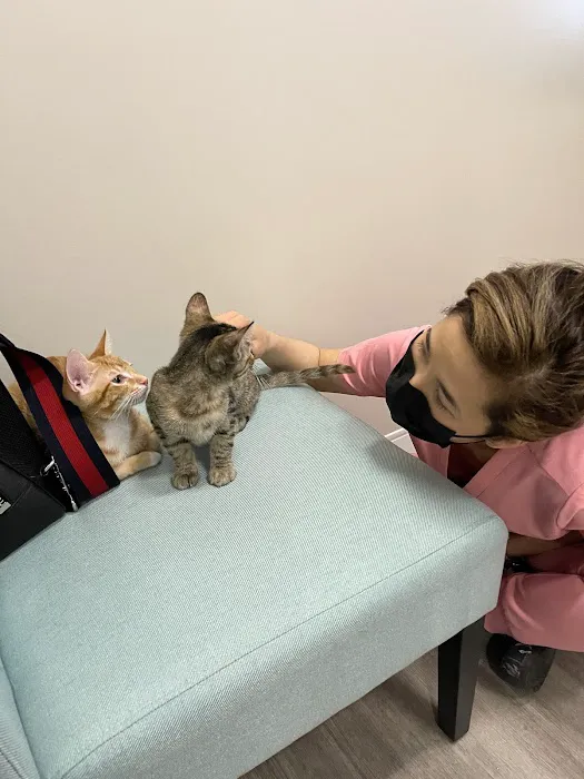 Aspire Veterinary Center Picture 7