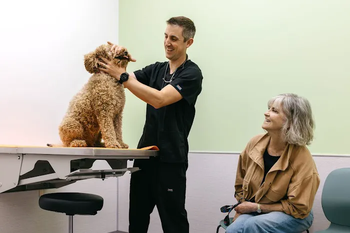 Felix&Fido Veterinary Care - Issaquah Picture 8