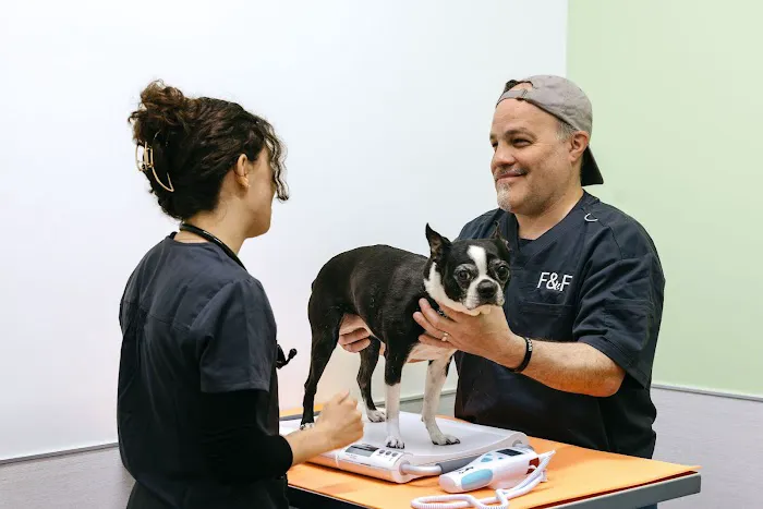 Felix&Fido Veterinary Care - Issaquah Picture 3
