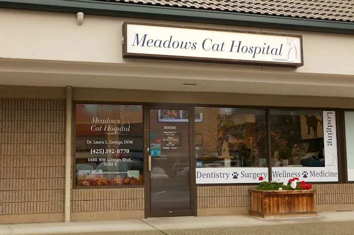 Meadows Cat Hospital Picture 9